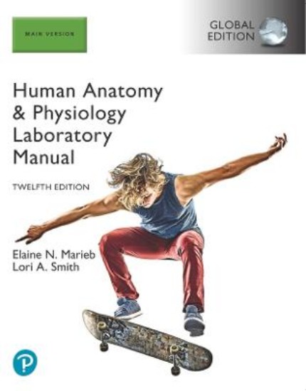 Picture of Human Anatomy & Physiology Laboratory Manual, Main Version, Global Edition