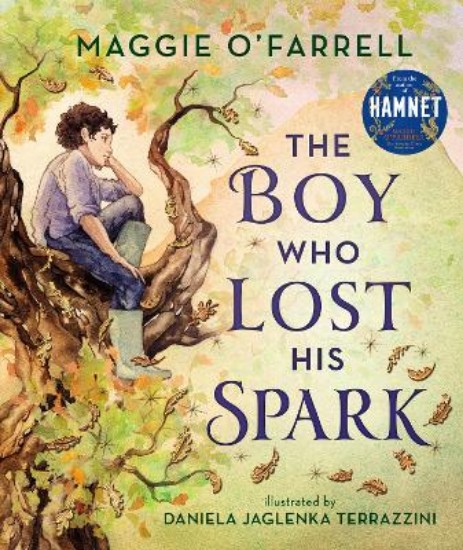 Picture of The Boy Who Lost His Spark