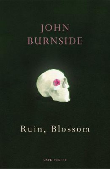 Picture of Ruin, Blossom