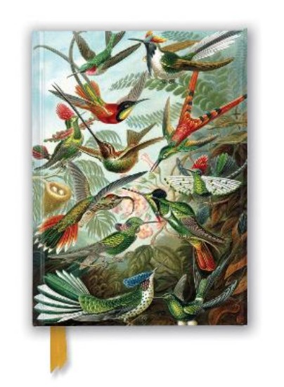 Picture of Ernst Haeckel: Hummingbirds (Foiled Journal)