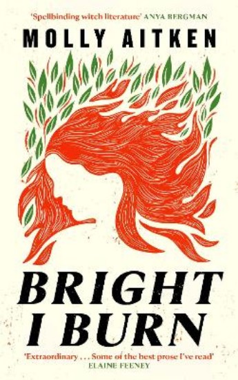 Picture of Bright I Burn