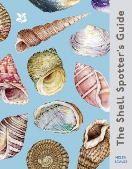 Picture of The Shell Spotter's Guide (National Trust)