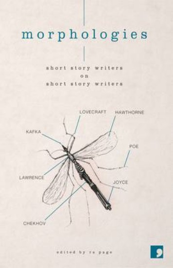 Picture of Morphologies: Short Story Writers on Short Story Writers