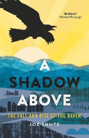 Picture of A Shadow Above: The Fall and Rise of the Raven