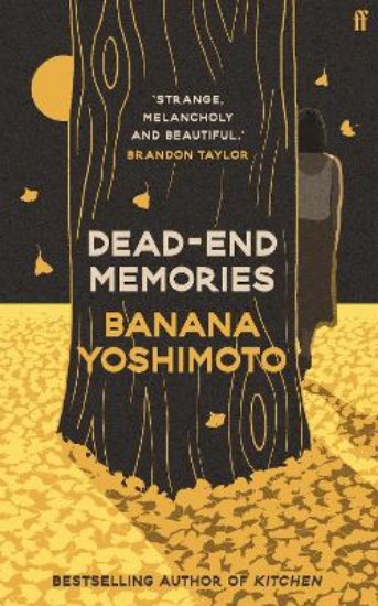 Picture of Dead End Memories