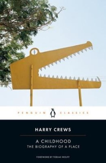 Picture of A Childhood: The Biography of a Place