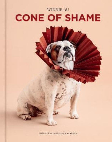 Picture of Cone of Shame