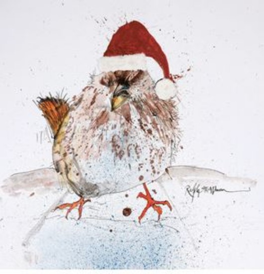 Picture of Christmas Cards: Sparrow by Ralph Steadman (Pack of 8)