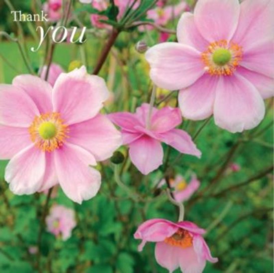 Picture of Greetings Card: Thank You