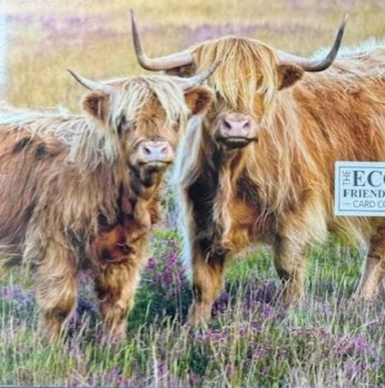 Picture of Greetings Card: Summer Grazing