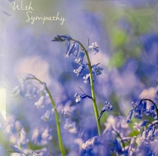 Picture of Greetings Card: With Sympathy