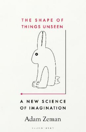 Picture of The Shape of Things Unseen: A New Science of Imagination