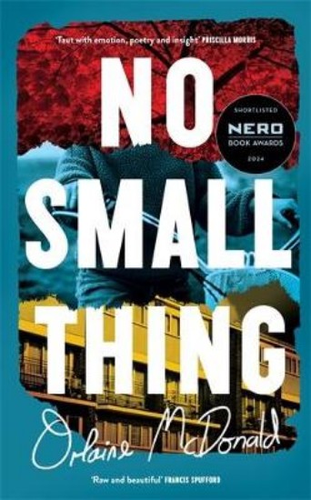 Picture of No Small Thing: Shortlisted for the 2024 Nero Book Awards for Debut Fiction