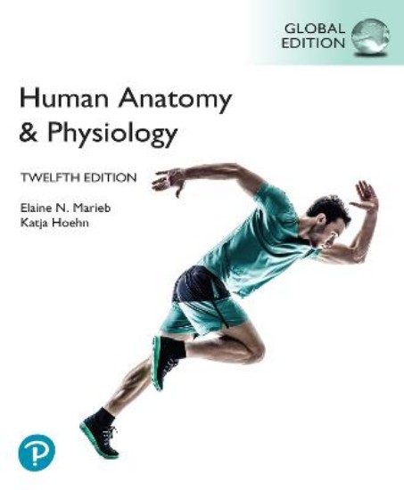 Picture of Human Anatomy & Physiology, Global Edition