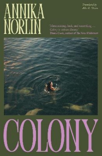 Picture of Colony