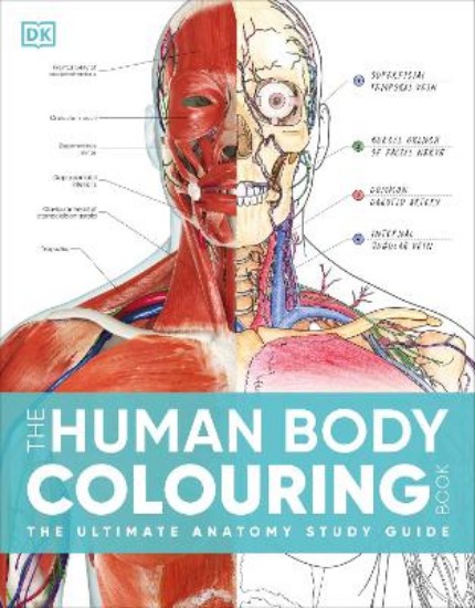 Picture of The Human Body Colouring Book: The Ultimate Anatomy Study Guide