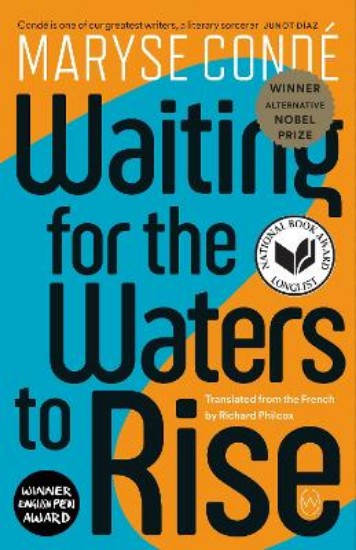 Picture of Waiting for the Waters to Rise