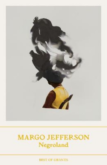 Picture of Negroland: A Memoir
