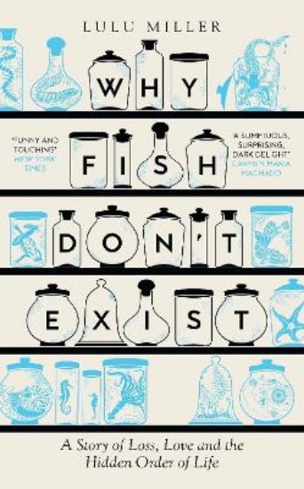 Picture of Why Fish Don't Exist: A Story of Finding Our Way in a Chaotic World