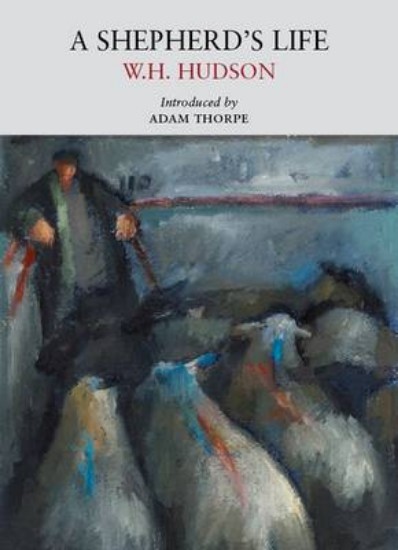 Picture of A Shepherd's Life