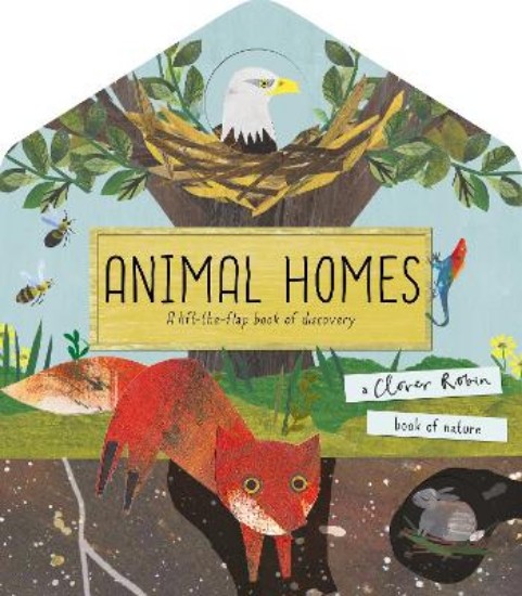 Picture of Animal Homes: A lift-the-flap book of discovery