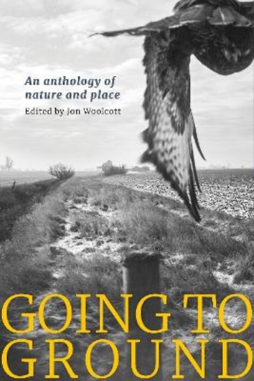 Picture of Going to Ground: An anthology of nature and place