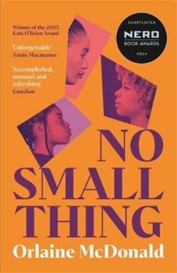 Picture of No Small Thing: Shortlisted for the 2024 Nero Book Awards for Debut Fiction