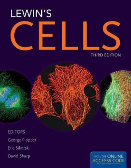 Picture of Lewin's CELLS