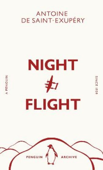 Picture of Night Flight