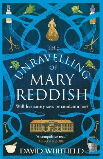 Picture of The Unravelling of Mary Reddish: a powerful historical novel about a woman unjustly committed to an asylum