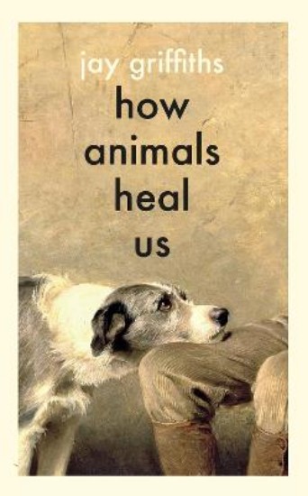 Picture of How Animals Heal Us