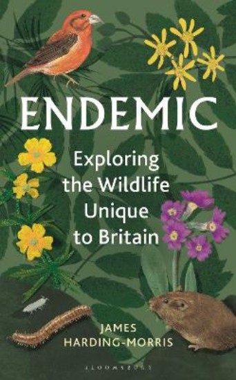 Picture of Endemic: Exploring the wildlife unique to Britain