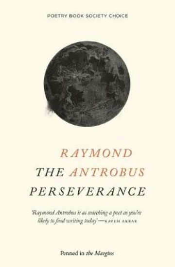 Picture of The Perseverance