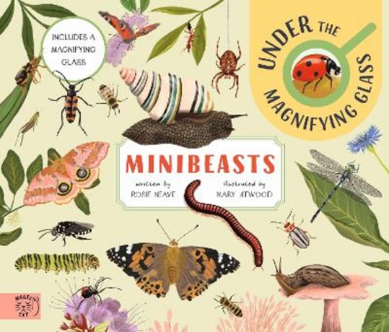 Picture of Minibeasts: Under the Magnifying Glass